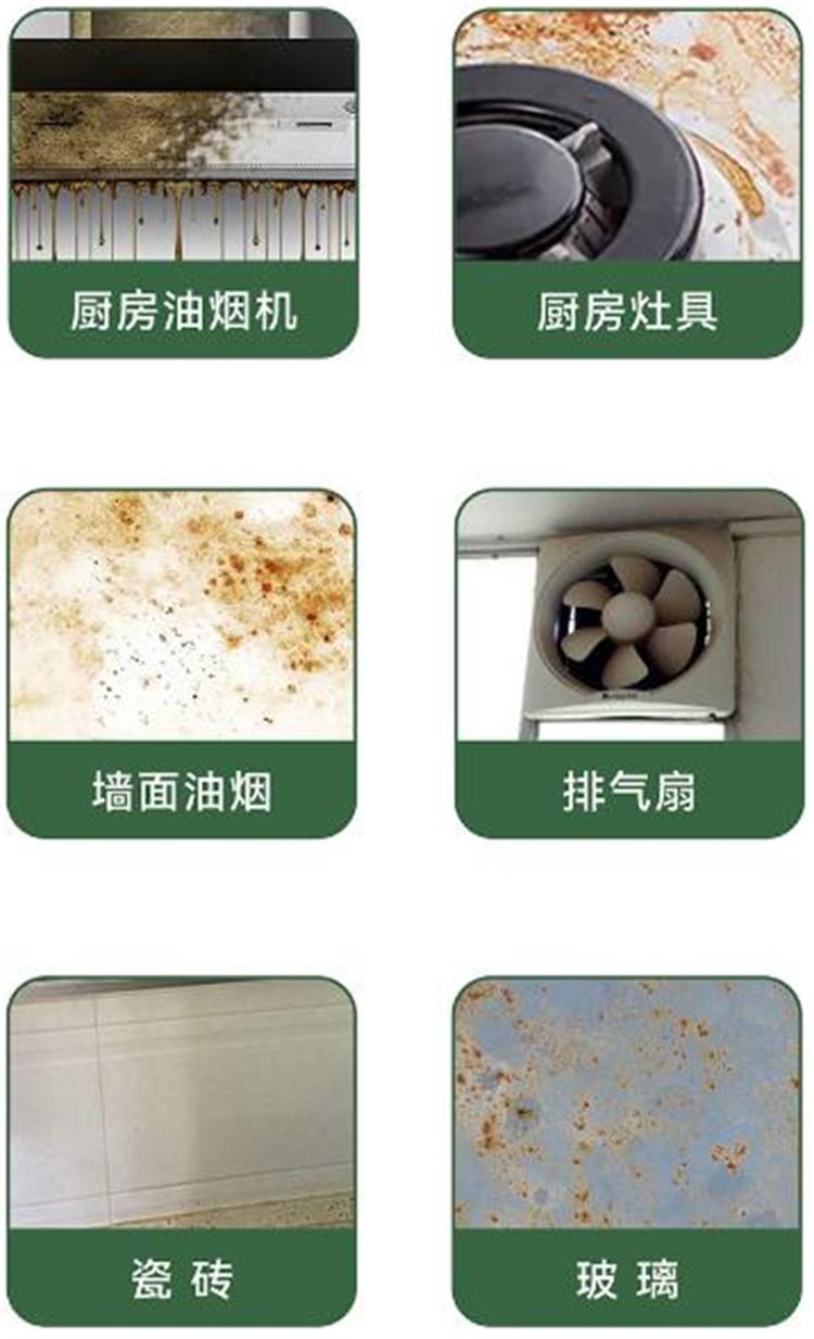 澳丽本厨房重油污清洁剂带喷枪04.jpeg